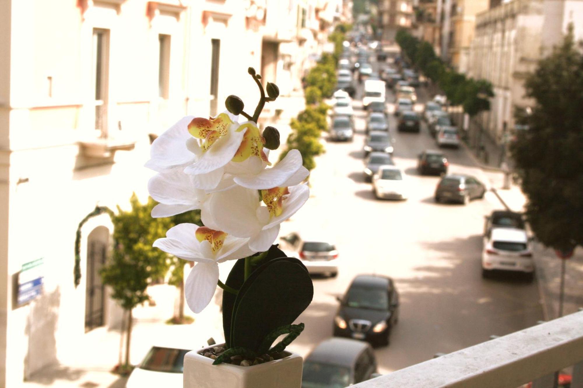 Appartamento Dimore Demetra Canosa di Puglia Esterno foto